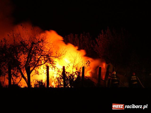 Zdjęcie w galerii na portalu naszraciborz.pl: Pożar altanki przy Źródlanej wiadomości z regionu