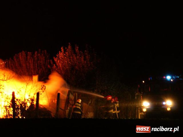 Zdjęcie w galerii na portalu naszraciborz.pl: Pożar altanki przy Źródlanej wiadomości z regionu