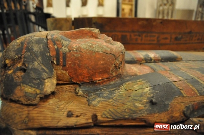 Zdjęcie w galerii na portalu naszraciborz.pl: Trwa konserwacja egipskiego sarkofagu z Raciborza [WIDEO] wiadomości z regionu