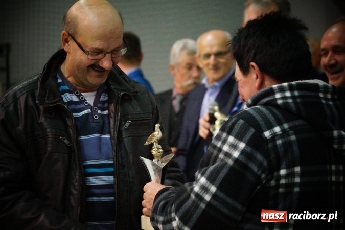 Zdjęcie w galerii na portalu naszraciborz.pl: Gołębie piękności na wystawie w Nędzy wiadomości z regionu