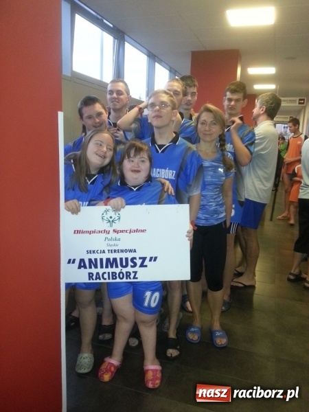 Zdjęcie w galerii na portalu naszraciborz.pl: Pływanie. Animusz z sukcesami  wiadomości z regionu