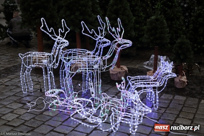Zdjęcie w galerii na portalu naszraciborz.pl: Na Rynku zapachniało już świętami wiadomości z regionu
