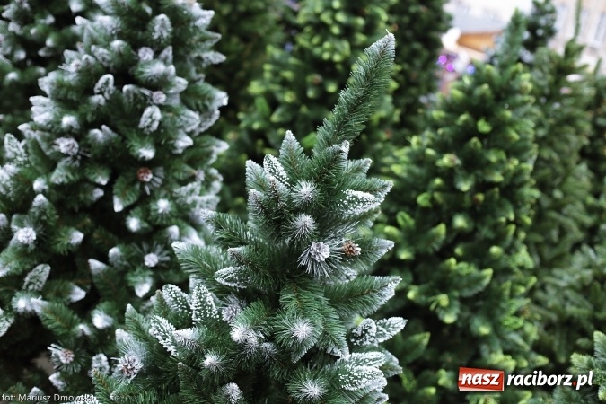 Zdjęcie w galerii na portalu naszraciborz.pl: Na Rynku zapachniało już świętami wiadomości z regionu