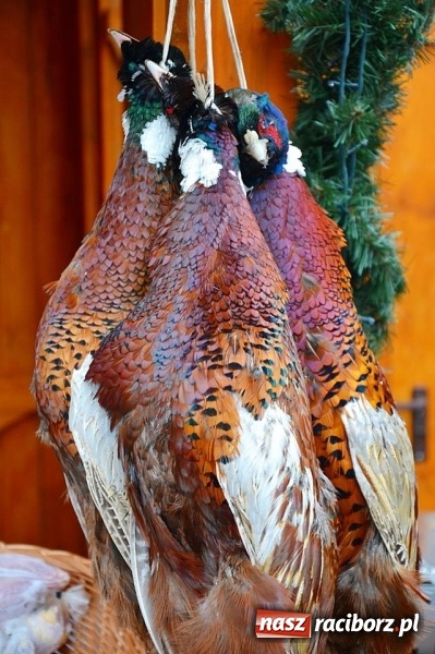 Zdjęcie w galerii na portalu naszraciborz.pl: Miss Czech i Europy na raciborskim jarmarku wiadomości z regionu