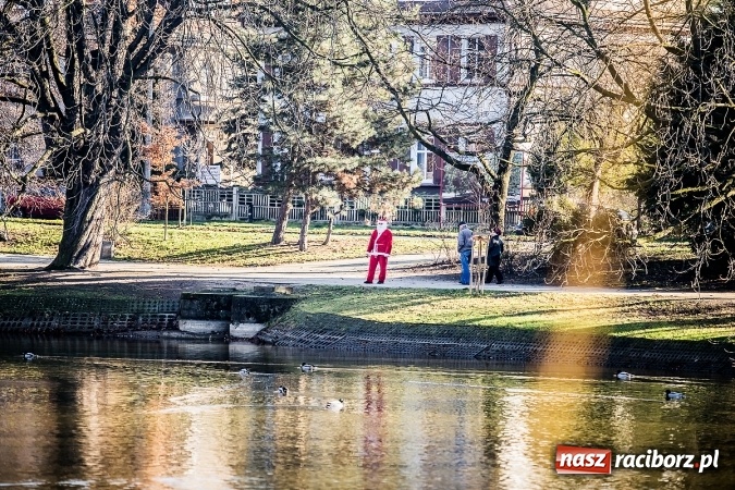 Zdjęcie w galerii na portalu naszraciborz.pl: Bieg Mikołajkowy i Nordic Walking w Parku Roth wiadomości z regionu