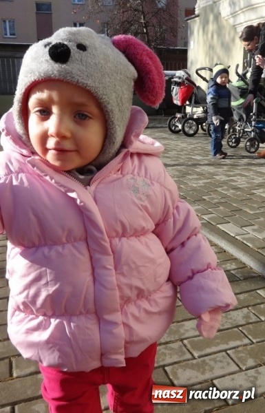 Zdjęcie w galerii na portalu naszraciborz.pl: Co tam słychać w Fiku-Miku wiadomości z regionu