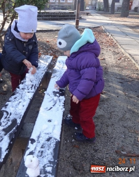 Zdjęcie w galerii na portalu naszraciborz.pl: Co tam słychać w Fiku-Miku wiadomości z regionu