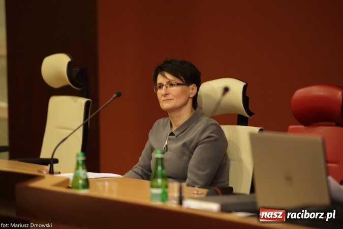 Zdjęcie w galerii na portalu naszraciborz.pl: Projekt strażaków z Sudoła najwyżej oceniony. Będzie też wieża widokowa w Brzeziu wiadomości z regionu