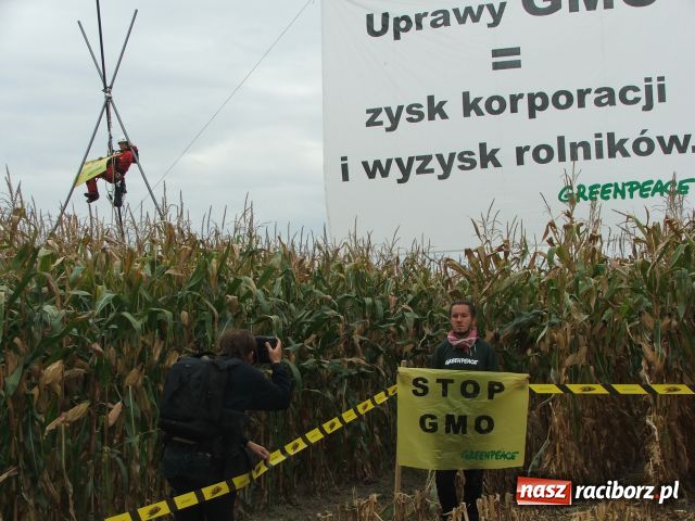 Zdjęcie w galerii na portalu naszraciborz.pl: GREENPEACE blokuje pole w Lubomi wiadomości z regionu