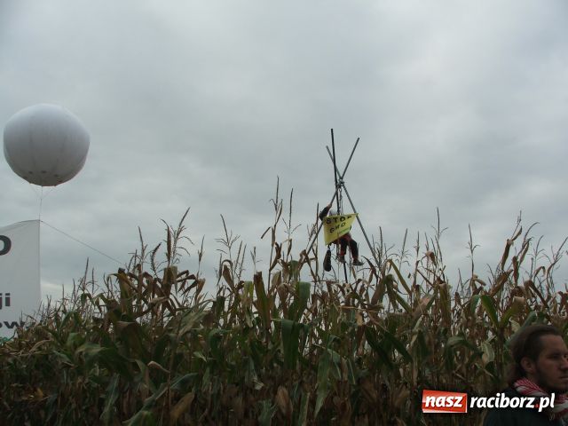 Zdjęcie w galerii na portalu naszraciborz.pl: GREENPEACE blokuje pole w Lubomi wiadomości z regionu