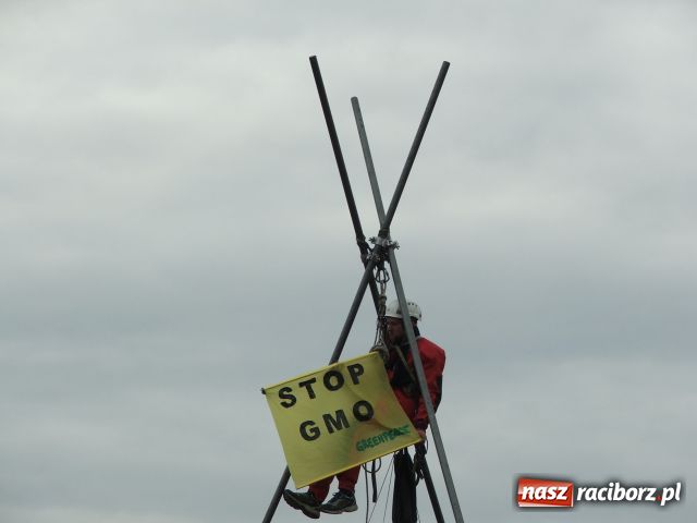 Zdjęcie w galerii na portalu naszraciborz.pl: GREENPEACE blokuje pole w Lubomi wiadomości z regionu