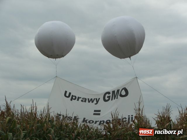 Zdjęcie w galerii na portalu naszraciborz.pl: GREENPEACE blokuje pole w Lubomi wiadomości z regionu