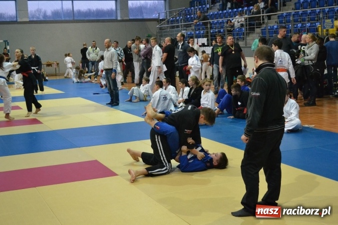 Zdjęcie w galerii na portalu naszraciborz.pl: Raciborzanie na podium w Katowicach  wiadomości z regionu