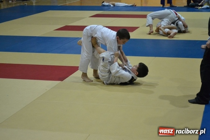 Zdjęcie w galerii na portalu naszraciborz.pl: Raciborzanie na podium w Katowicach  wiadomości z regionu