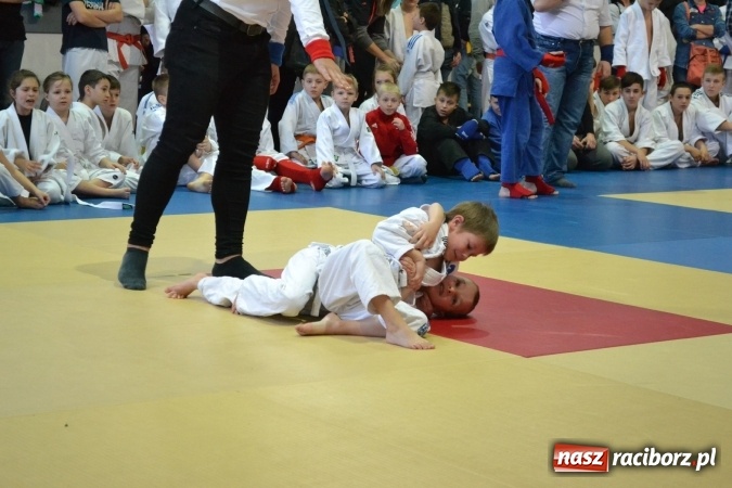 Zdjęcie w galerii na portalu naszraciborz.pl: Raciborzanie na podium w Katowicach  wiadomości z regionu