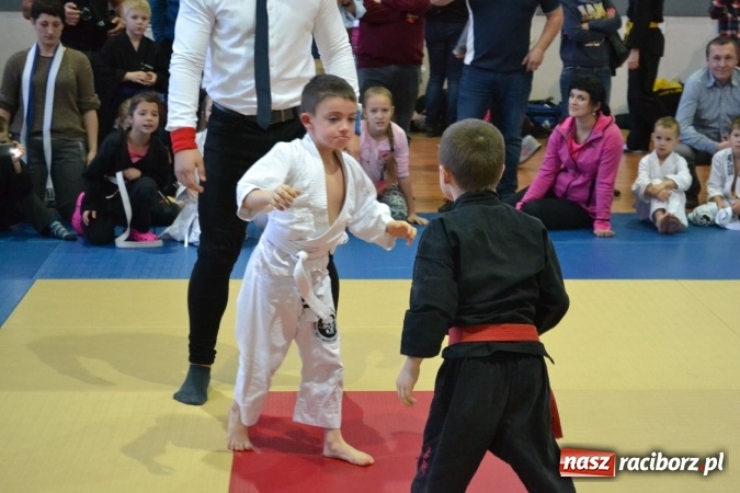 Zdjęcie w galerii na portalu naszraciborz.pl: Raciborzanie na podium w Katowicach  wiadomości z regionu