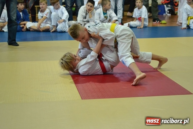 Zdjęcie w galerii na portalu naszraciborz.pl: Raciborzanie na podium w Katowicach  wiadomości z regionu