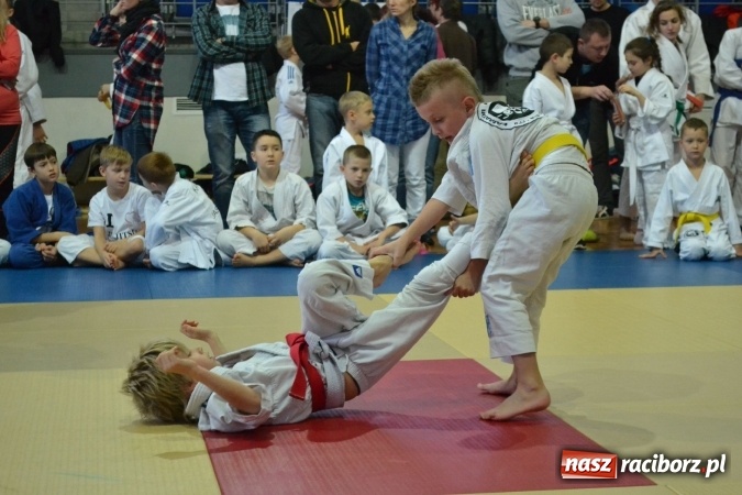 Zdjęcie w galerii na portalu naszraciborz.pl: Raciborzanie na podium w Katowicach  wiadomości z regionu