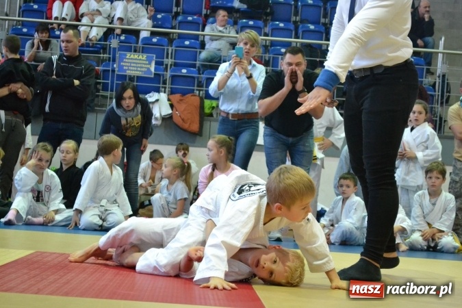 Zdjęcie w galerii na portalu naszraciborz.pl: Raciborzanie na podium w Katowicach  wiadomości z regionu
