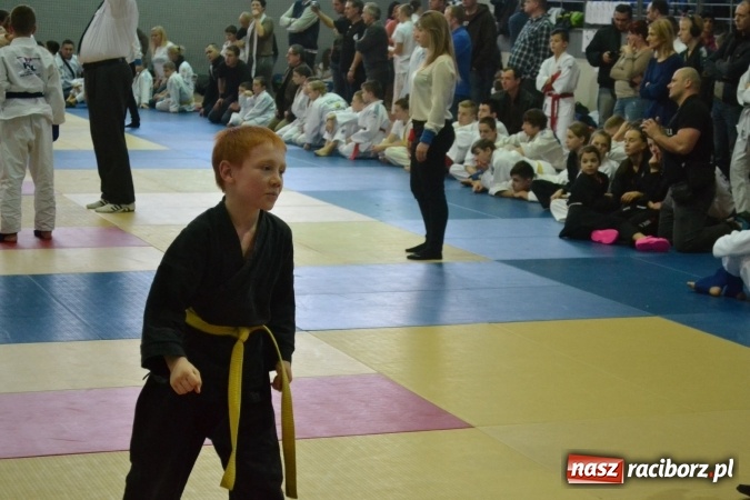 Zdjęcie w galerii na portalu naszraciborz.pl: Raciborzanie na podium w Katowicach  wiadomości z regionu