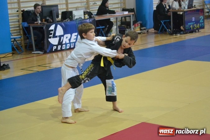 Zdjęcie w galerii na portalu naszraciborz.pl: Raciborzanie na podium w Katowicach  wiadomości z regionu