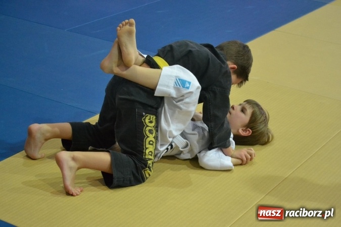 Zdjęcie w galerii na portalu naszraciborz.pl: Raciborzanie na podium w Katowicach  wiadomości z regionu