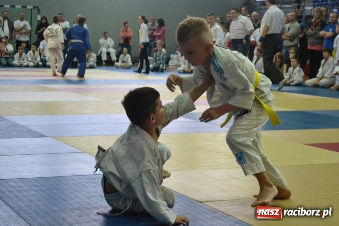 Zdjęcie w galerii na portalu naszraciborz.pl: Raciborzanie na podium w Katowicach  wiadomości z regionu