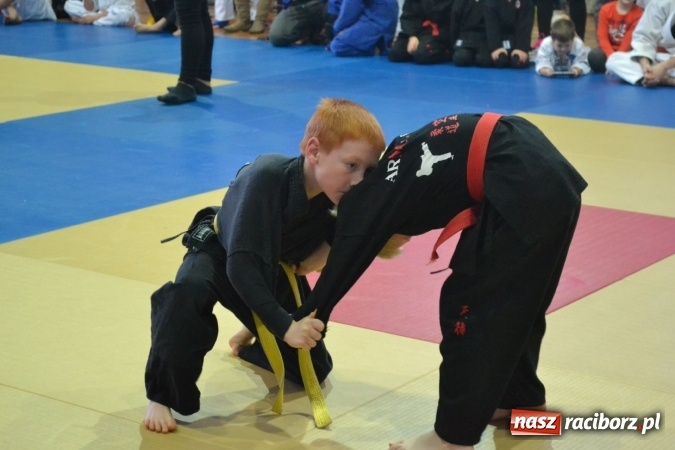 Zdjęcie w galerii na portalu naszraciborz.pl: Raciborzanie na podium w Katowicach  wiadomości z regionu