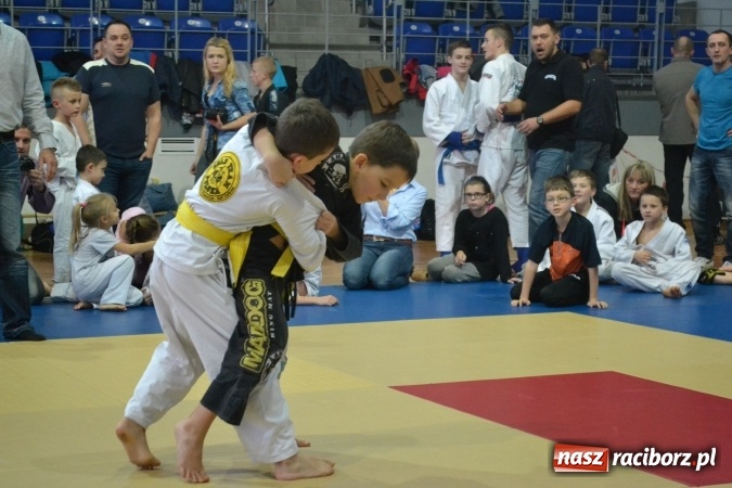 Zdjęcie w galerii na portalu naszraciborz.pl: Raciborzanie na podium w Katowicach  wiadomości z regionu