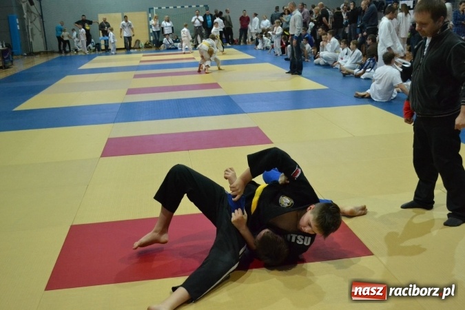 Zdjęcie w galerii na portalu naszraciborz.pl: Raciborzanie na podium w Katowicach  wiadomości z regionu