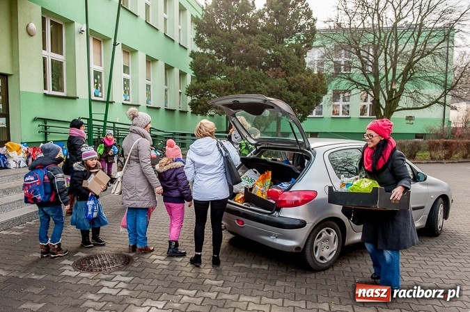 Zdjęcie w galerii na portalu naszraciborz.pl: Warto pomagać! Wielkie serca uczniów raciborskiej Szkoły Podstawowej nr 13  wiadomości z regionu