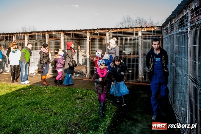 Zdjęcie w galerii na portalu naszraciborz.pl: Warto pomagać! Wielkie serca uczniów raciborskiej Szkoły Podstawowej nr 13  wiadomości z regionu