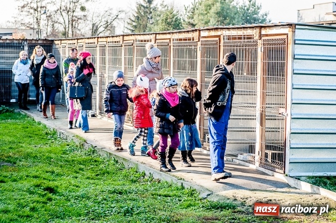 Zdjęcie w galerii na portalu naszraciborz.pl: Warto pomagać! Wielkie serca uczniów raciborskiej Szkoły Podstawowej nr 13  wiadomości z regionu