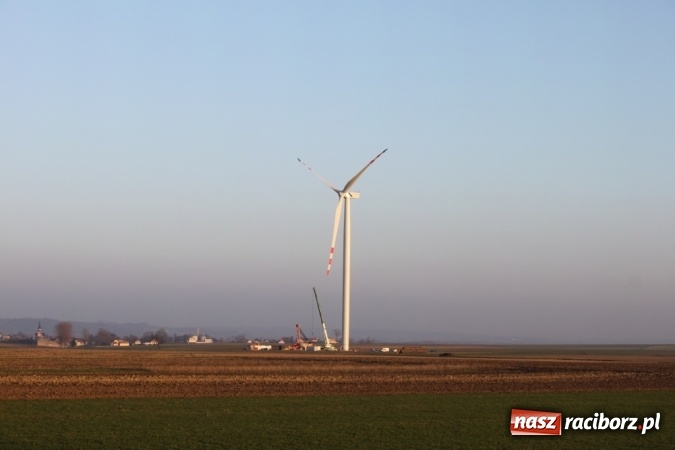 Zdjęcie w galerii na portalu naszraciborz.pl: Pierwszy wiatrak zagórował nad Wojnowicami  wiadomości z regionu
