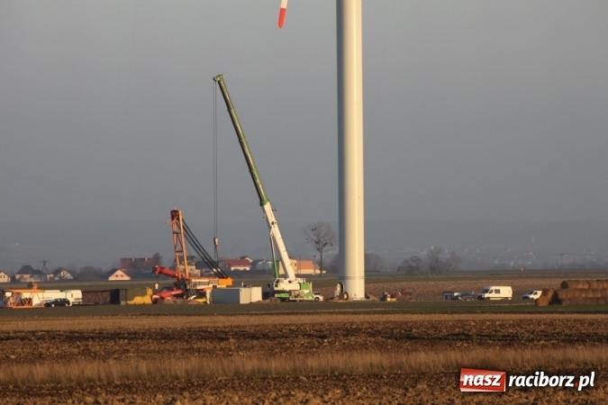 Zdjęcie w galerii na portalu naszraciborz.pl: Pierwszy wiatrak zagórował nad Wojnowicami  wiadomości z regionu