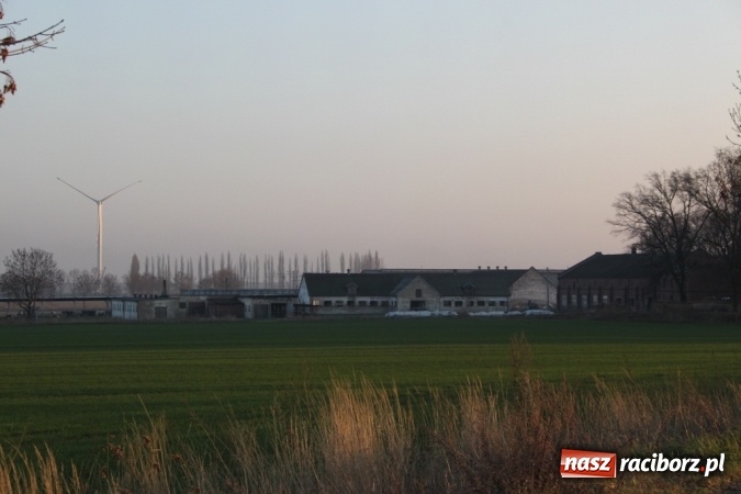 Zdjęcie w galerii na portalu naszraciborz.pl: Pierwszy wiatrak zagórował nad Wojnowicami  wiadomości z regionu