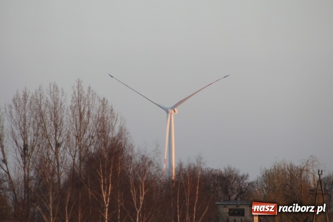 Zdjęcie w galerii na portalu naszraciborz.pl: Pierwszy wiatrak zagórował nad Wojnowicami  wiadomości z regionu
