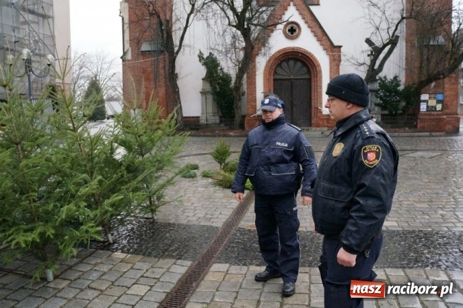 Zdjęcie w galerii na portalu naszraciborz.pl: Wspólne patrole Policji i Straży Miejskiej na ulicach Raciborza  wiadomości z regionu