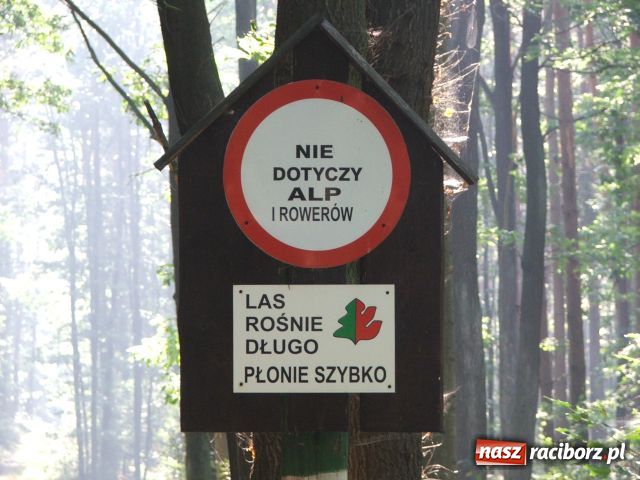 Zdjęcie w galerii na portalu naszraciborz.pl: Grzybiarze na start… wiadomości z regionu