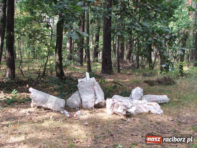 Zdjęcie w galerii na portalu naszraciborz.pl: Grzybiarze na start… wiadomości z regionu