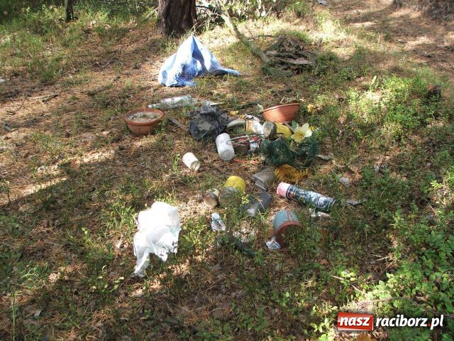 Zdjęcie w galerii na portalu naszraciborz.pl: Grzybiarze na start… wiadomości z regionu