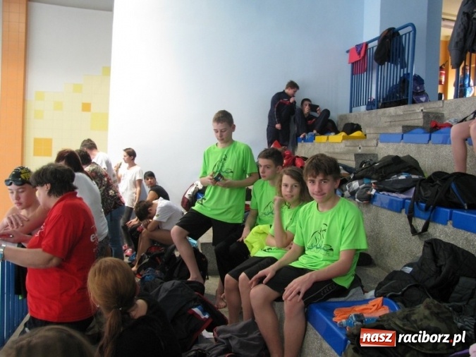 Zdjęcie w galerii na portalu naszraciborz.pl: Z pływackich aren. Medale raciborskich 12-latków wiadomości z regionu