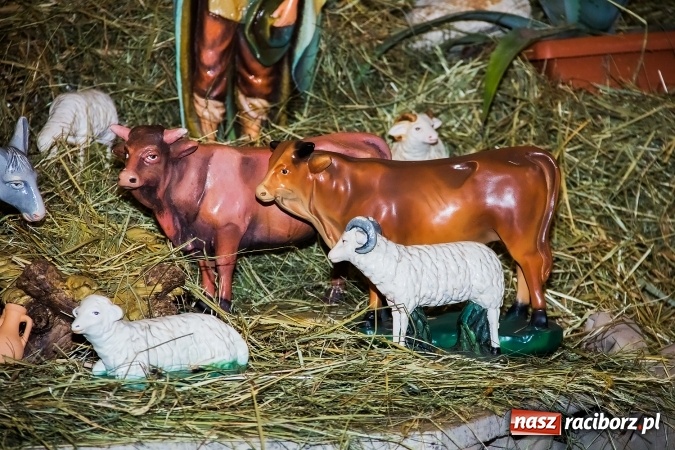 Zdjęcie w galerii na portalu naszraciborz.pl: Stajenki w powiecie raciborskim przygotowane na przyjście Jezusa wiadomości z regionu