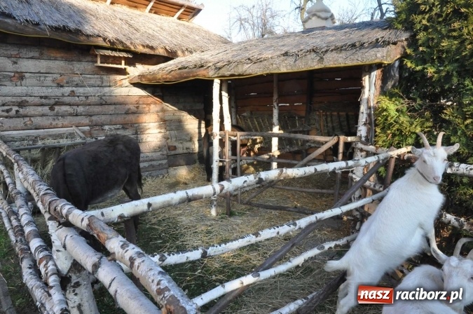 Zdjęcie w galerii na portalu naszraciborz.pl: Stajenki w powiecie raciborskim przygotowane na przyjście Jezusa wiadomości z regionu