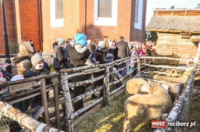 Zdjęcie w galerii na portalu naszraciborz.pl: Parafia Brzezie zaprasza do żywej szopki - jedynej takiej w powiecie raciborskim wiadomości z regionu
