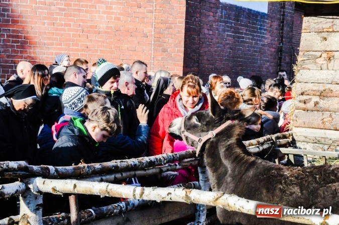 Zdjęcie w galerii na portalu naszraciborz.pl: Parafia Brzezie zaprasza do żywej szopki - jedynej takiej w powiecie raciborskim wiadomości z regionu