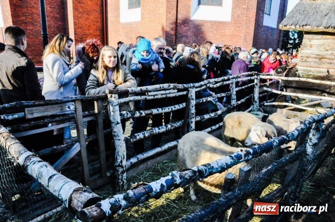 Zdjęcie w galerii na portalu naszraciborz.pl: Parafia Brzezie zaprasza do żywej szopki - jedynej takiej w powiecie raciborskim wiadomości z regionu