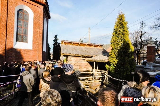 Zdjęcie w galerii na portalu naszraciborz.pl: Parafia Brzezie zaprasza do żywej szopki - jedynej takiej w powiecie raciborskim wiadomości z regionu
