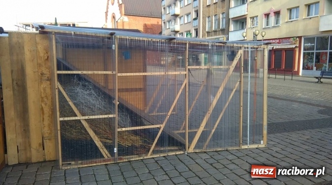 Zdjęcie w galerii na portalu naszraciborz.pl: Raciborski rynek jak turecki bazar  wiadomości z regionu