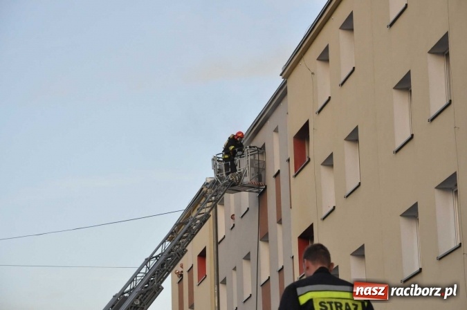 Zdjęcie w galerii na portalu naszraciborz.pl: Pożar w mieszkaniu przy Łąkowej - FOTO wiadomości z regionu